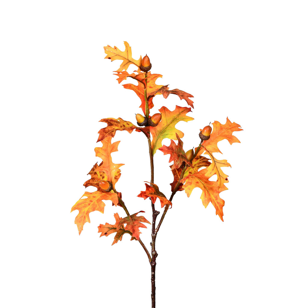 OAK LEAF AND ACORN STEM - 32 INCH