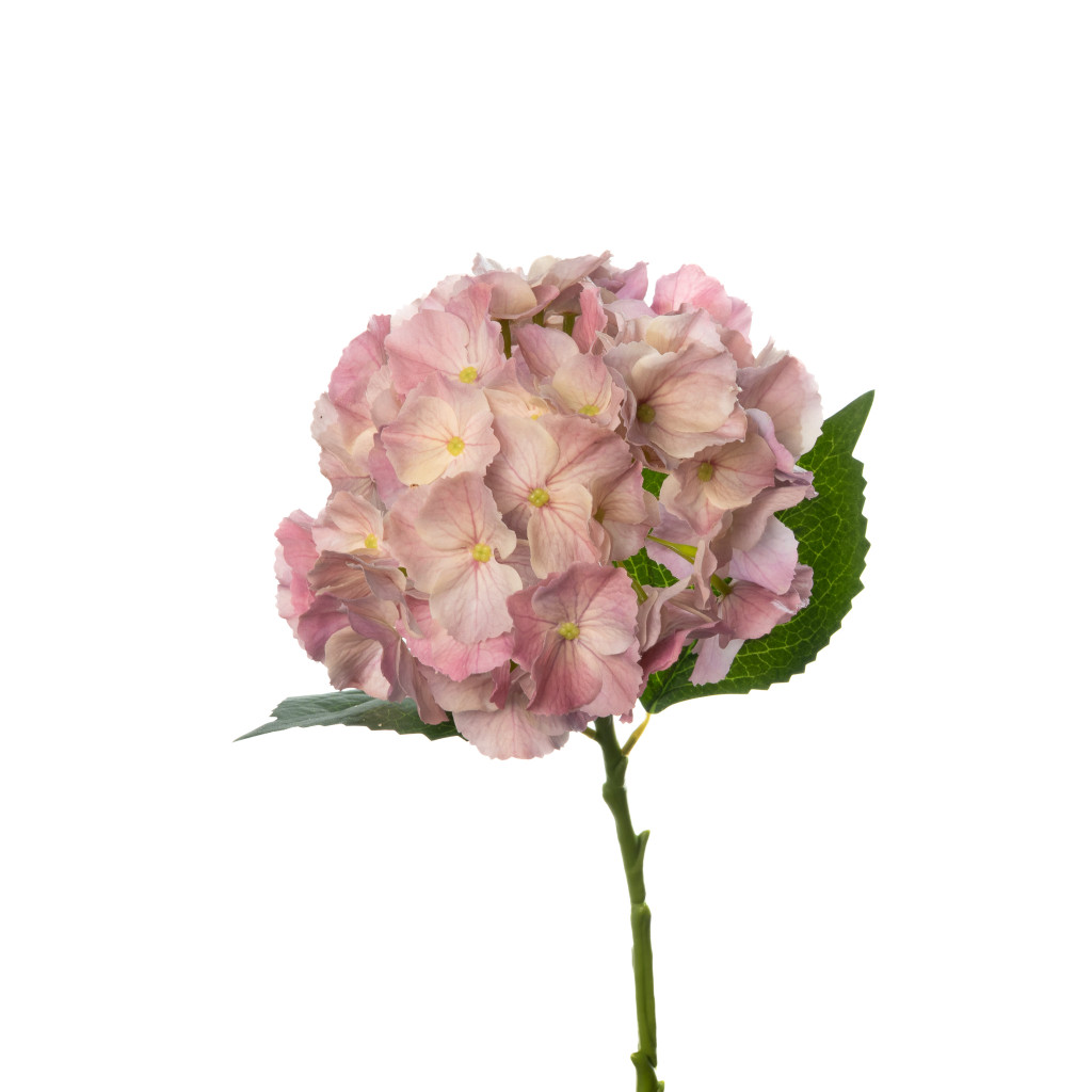 REAL TOUCH HYDRANGEA 20 INCH DUSTY MAUVE