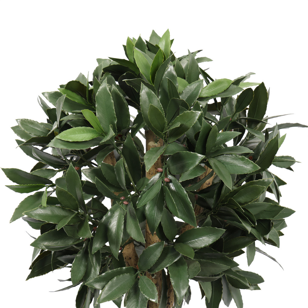 EVERLUX BAY LAUREL DOUBLE BALL UV TOPIARY - 48 INCH