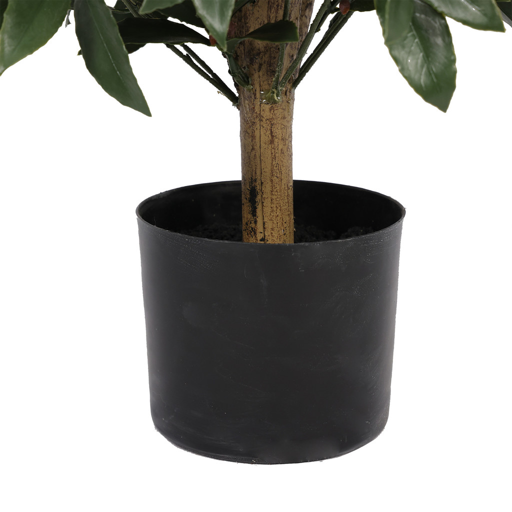 EVERLUX BAY LAUREL CONE UV TOPIARY  48 INCH