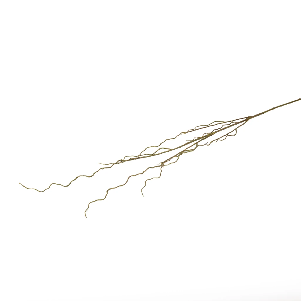 CURLY WILLOW BRANCH - 51 INCH