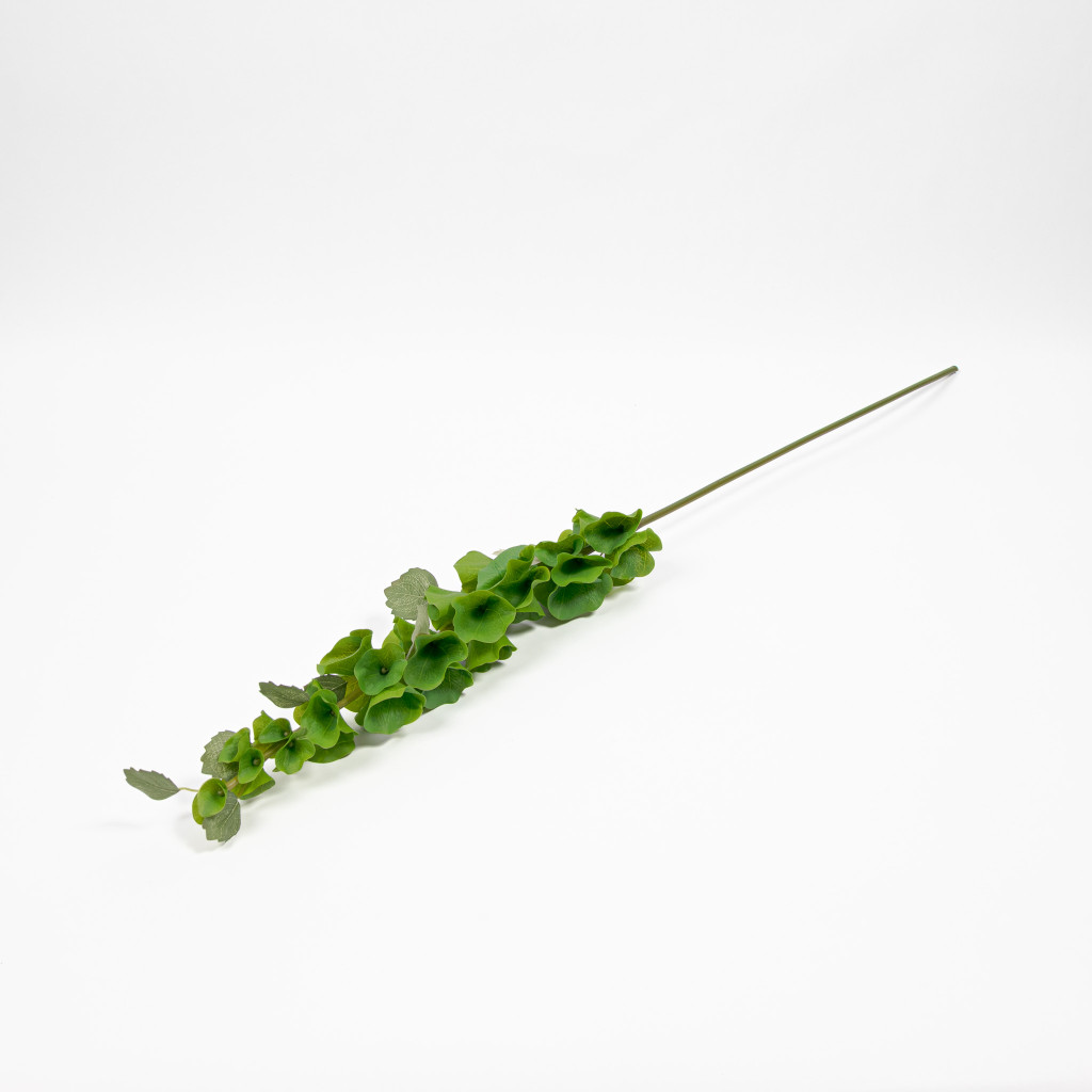 BELLS OF IRELAND STEM - 37 INCH