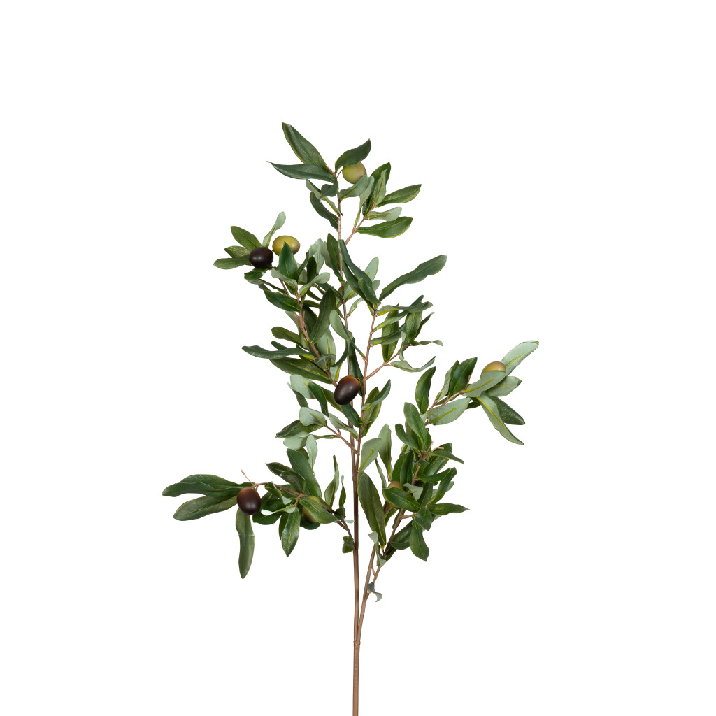 OLIVE BRANCH - 38 INCH