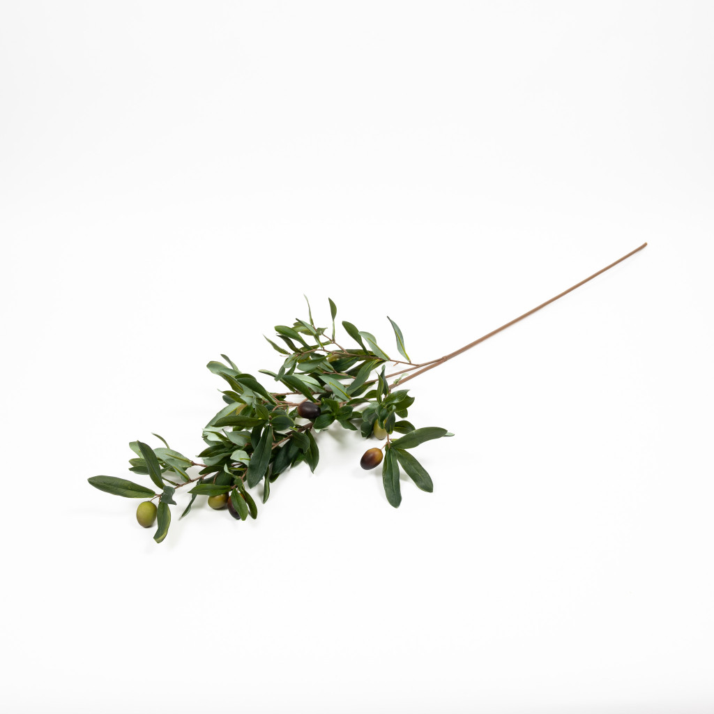 OLIVE BRANCH - 38 INCH