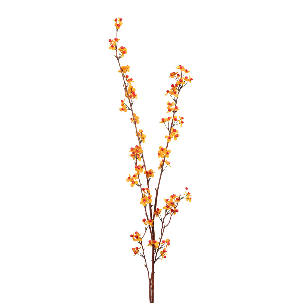 BITTERSWEET STEM - 45 INCH