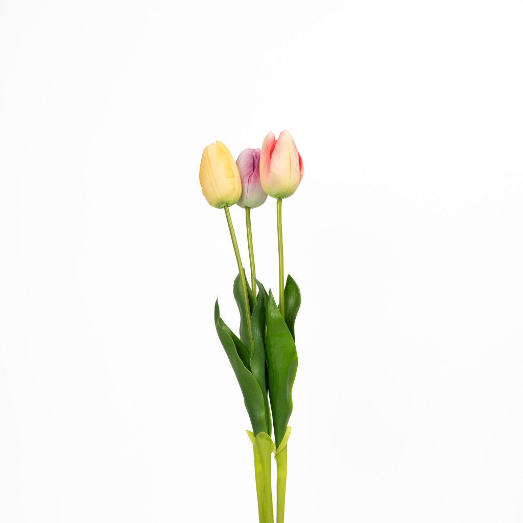 NATURAL TOUCH TULIP - 23.5 INCH - PASTEL TRIO (36 STEMS)