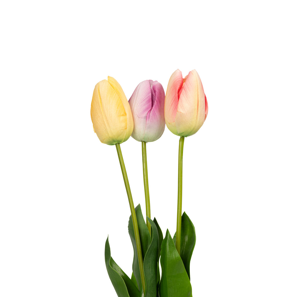 NATURAL TOUCH TULIP - 23.5 INCH - PASTEL TRIO (36 STEMS)