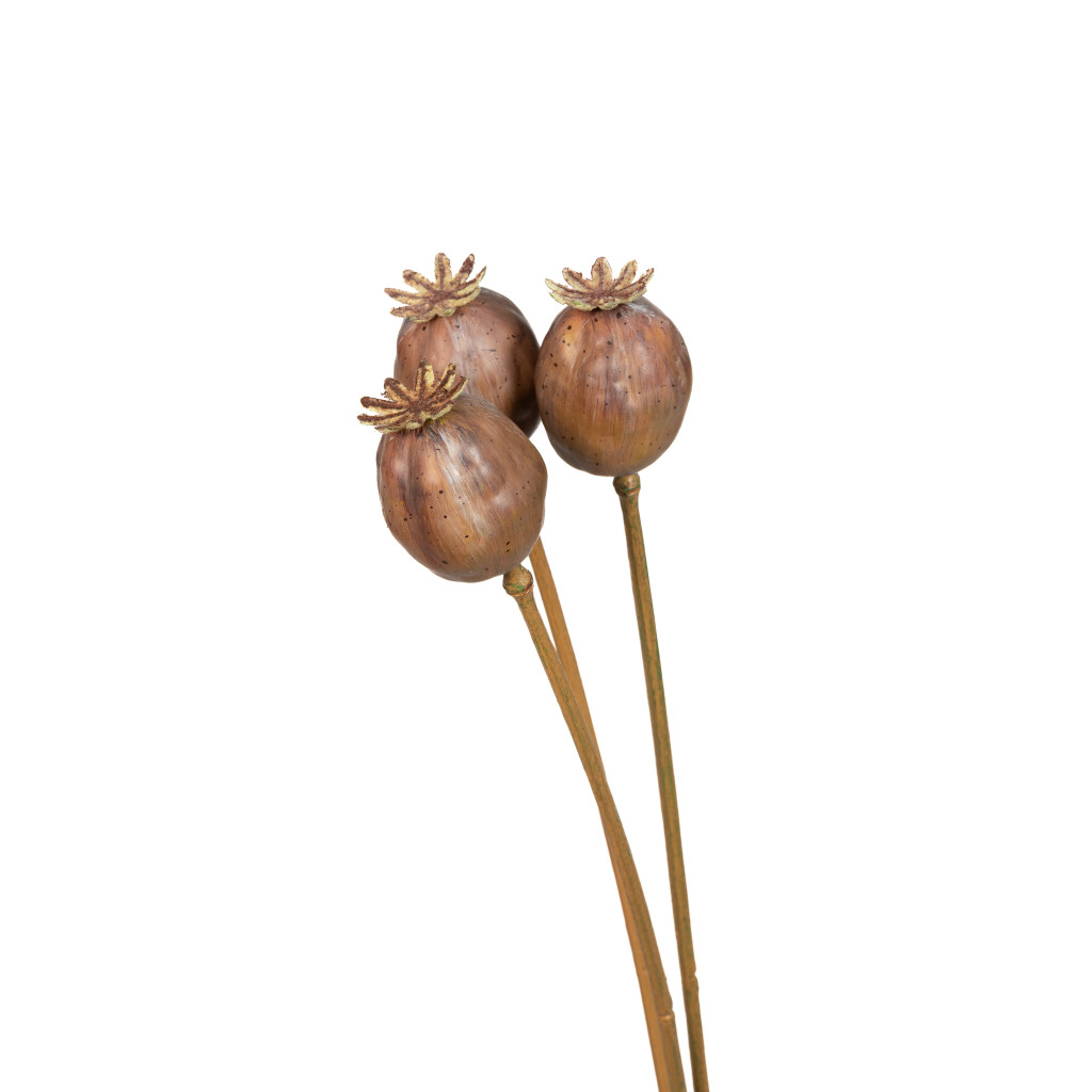 Poppy Pod Bunch 20 Inch