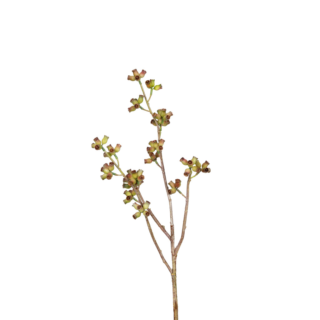Eucalyptus Pod Stem 28 Inch