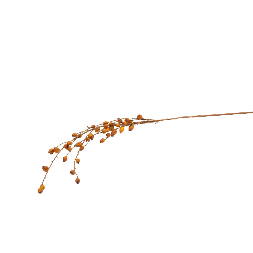 Cascading Berry Branch Sand 56 Inch