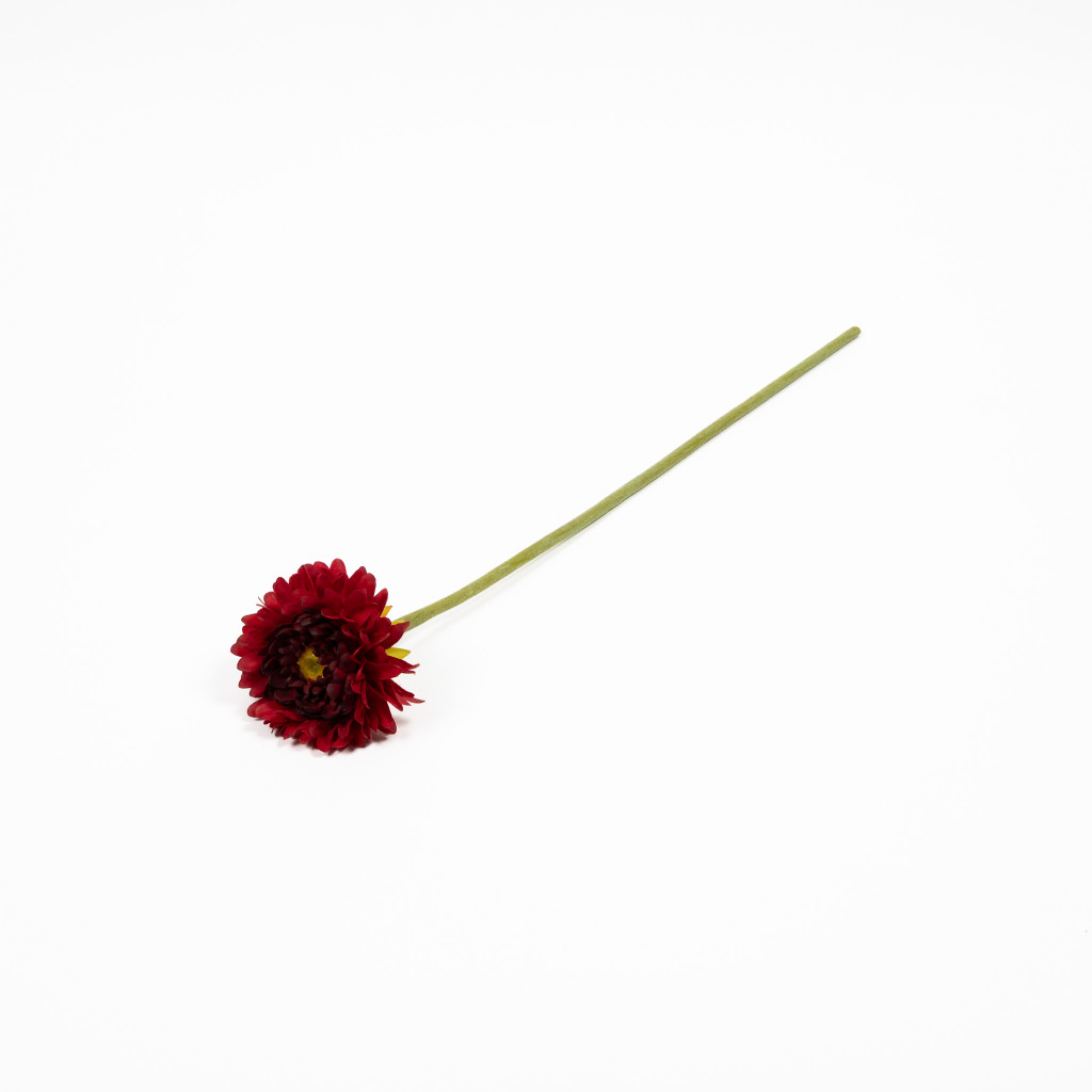 Helichrysum Stem Garnet 19 Inch
