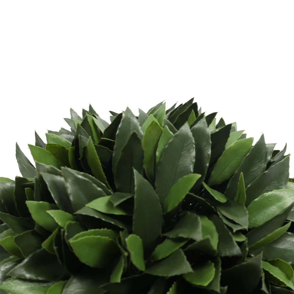 Bay Laurel Ball Everlux UV 14 Inch