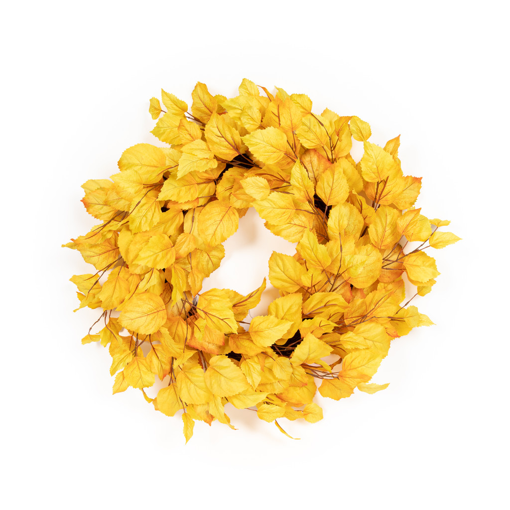 Golden Birch Wreath 24 Inch