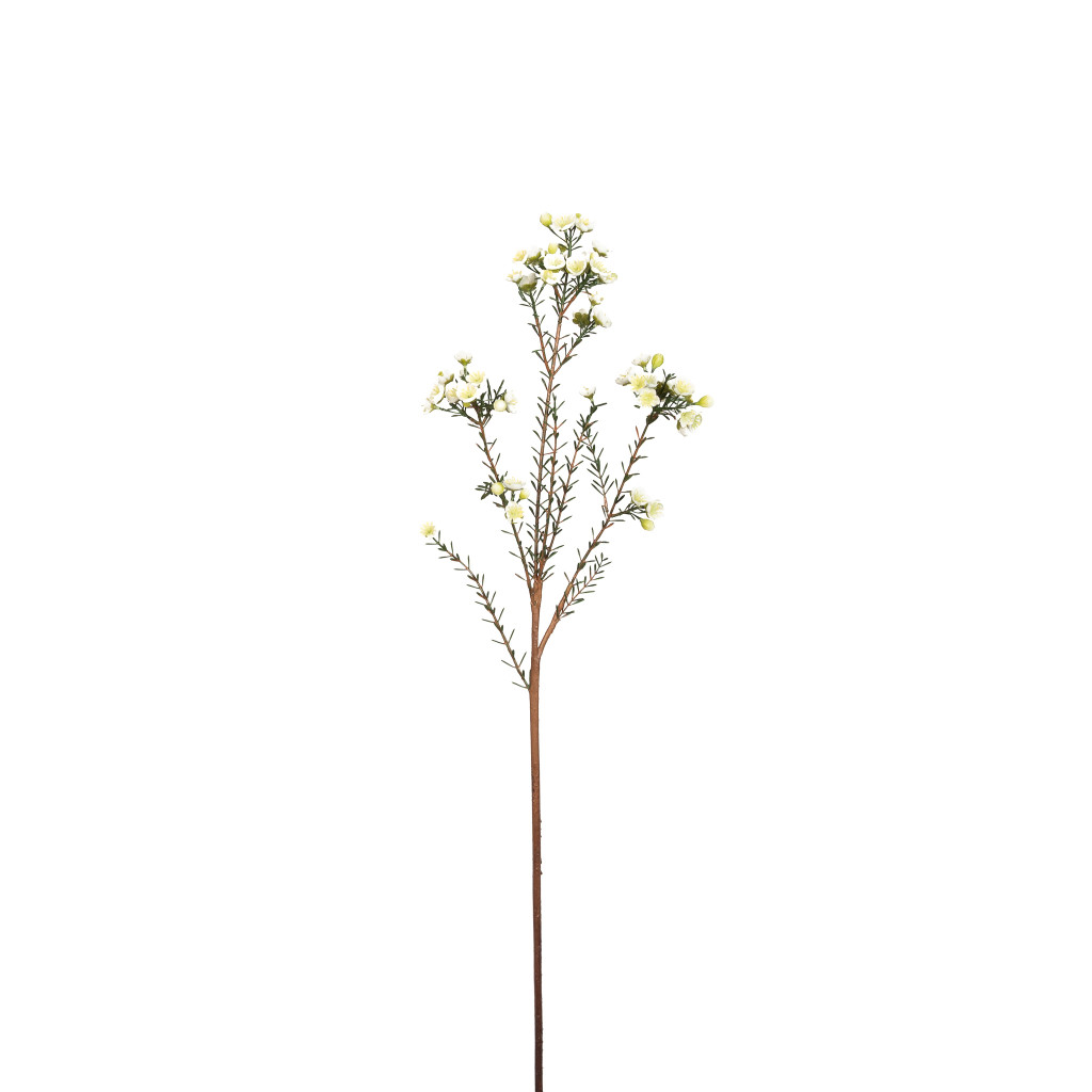 Wax Flower Spray White 31 Inch