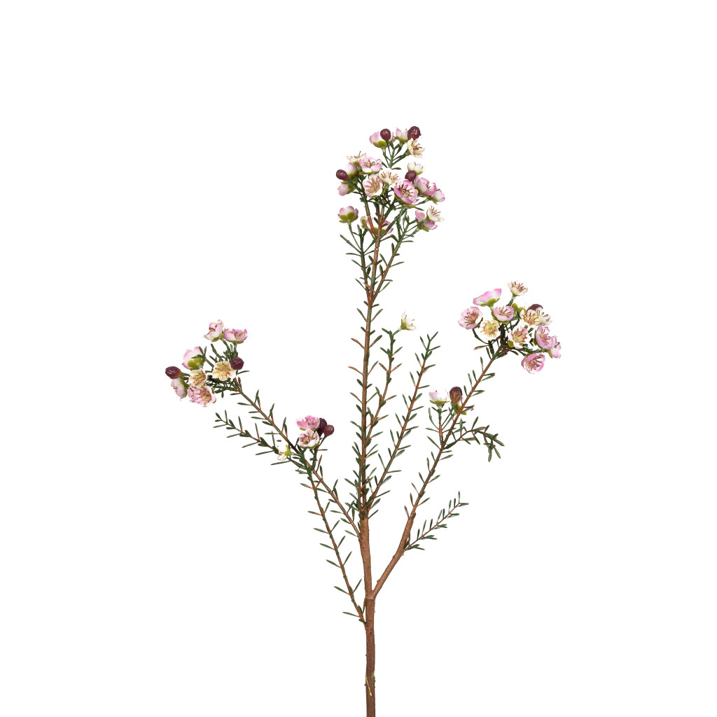 Wax Flower Spray Lavender 31 Inch
