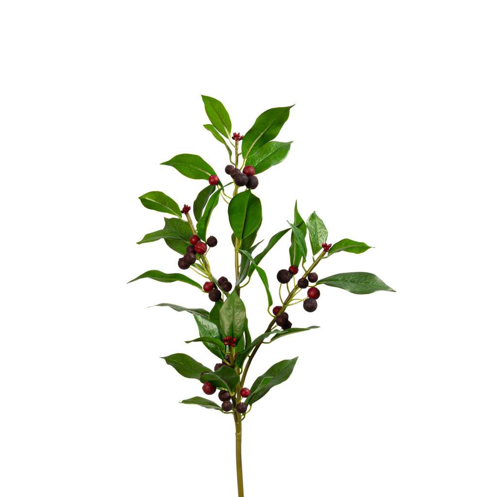 Chokeberry Spray Wine 31 Inch