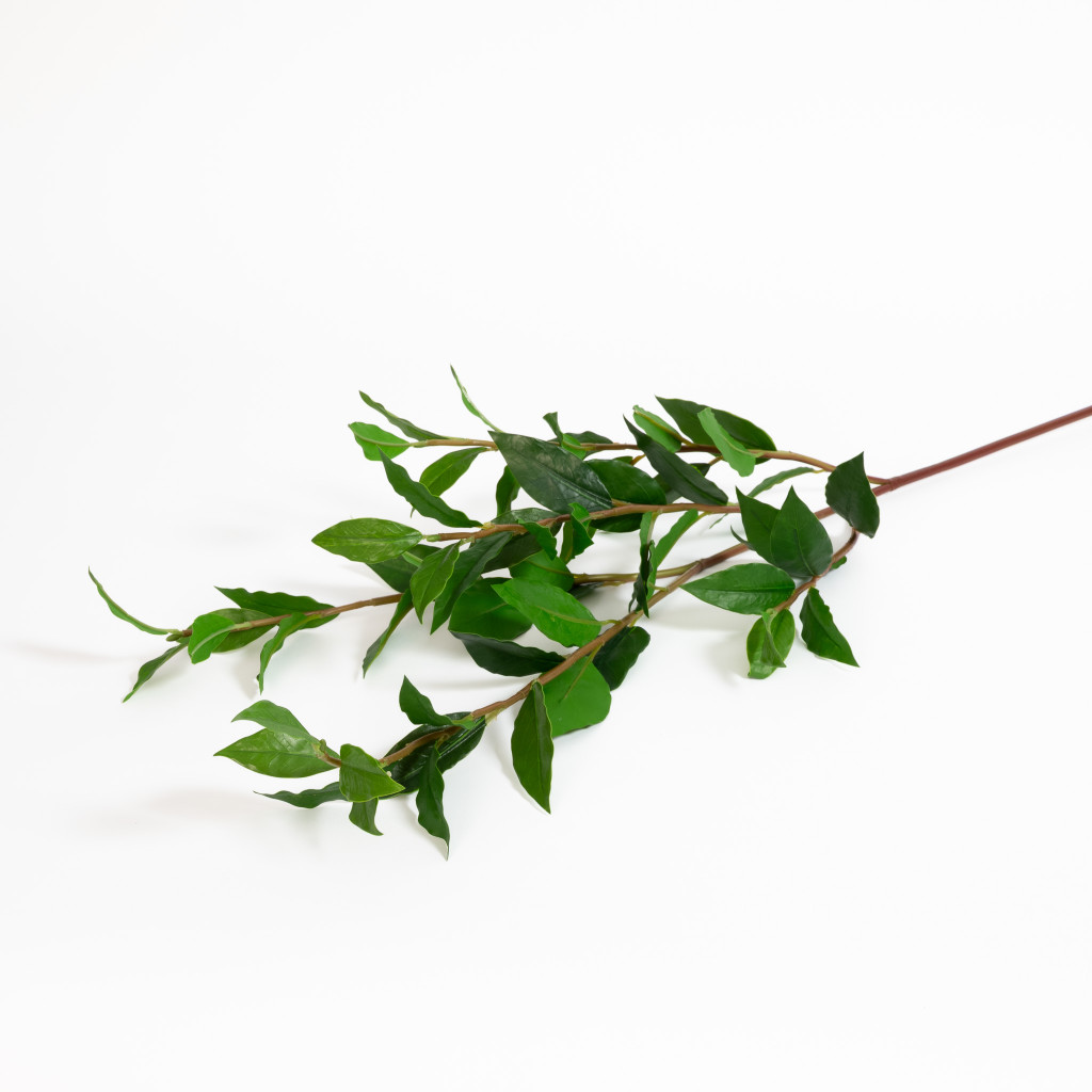 Laurel Leaf Branch 40 Inch