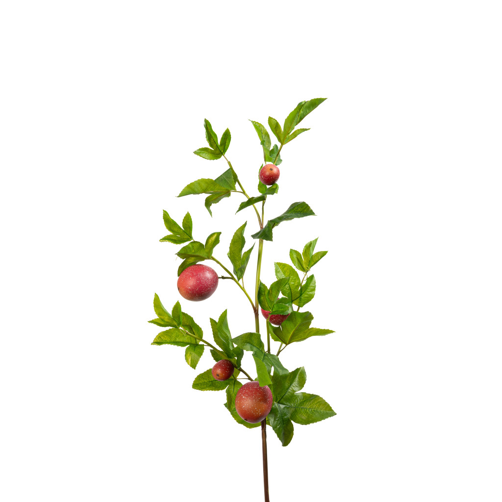 Passion Fruit Spray Plum 47 Inch
