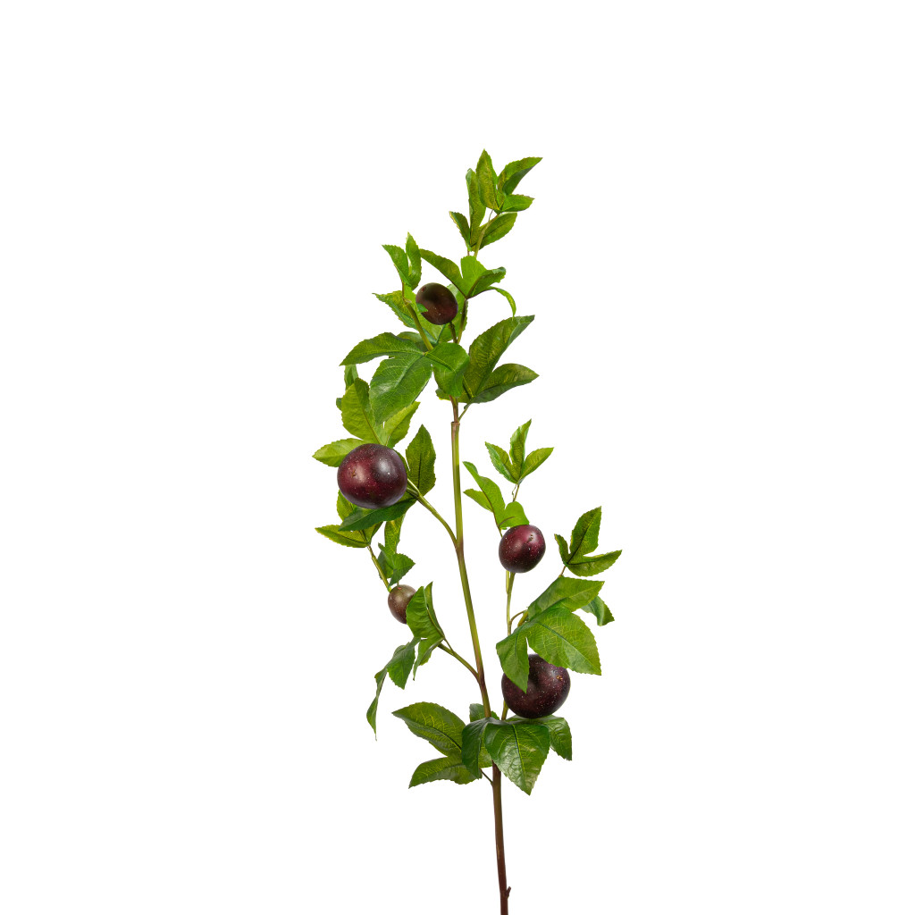 Passion Fruit Spray Purple 47 Inch