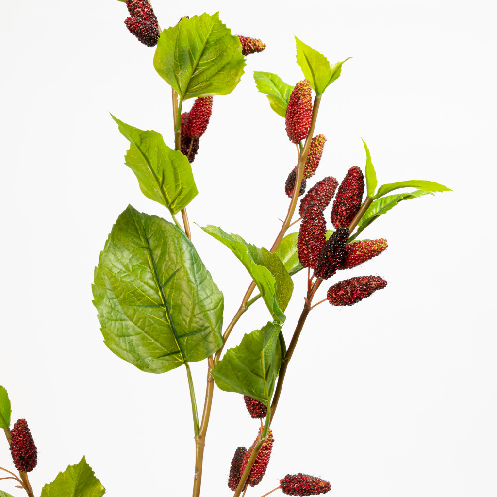 Mulberry Spray 45 Inch