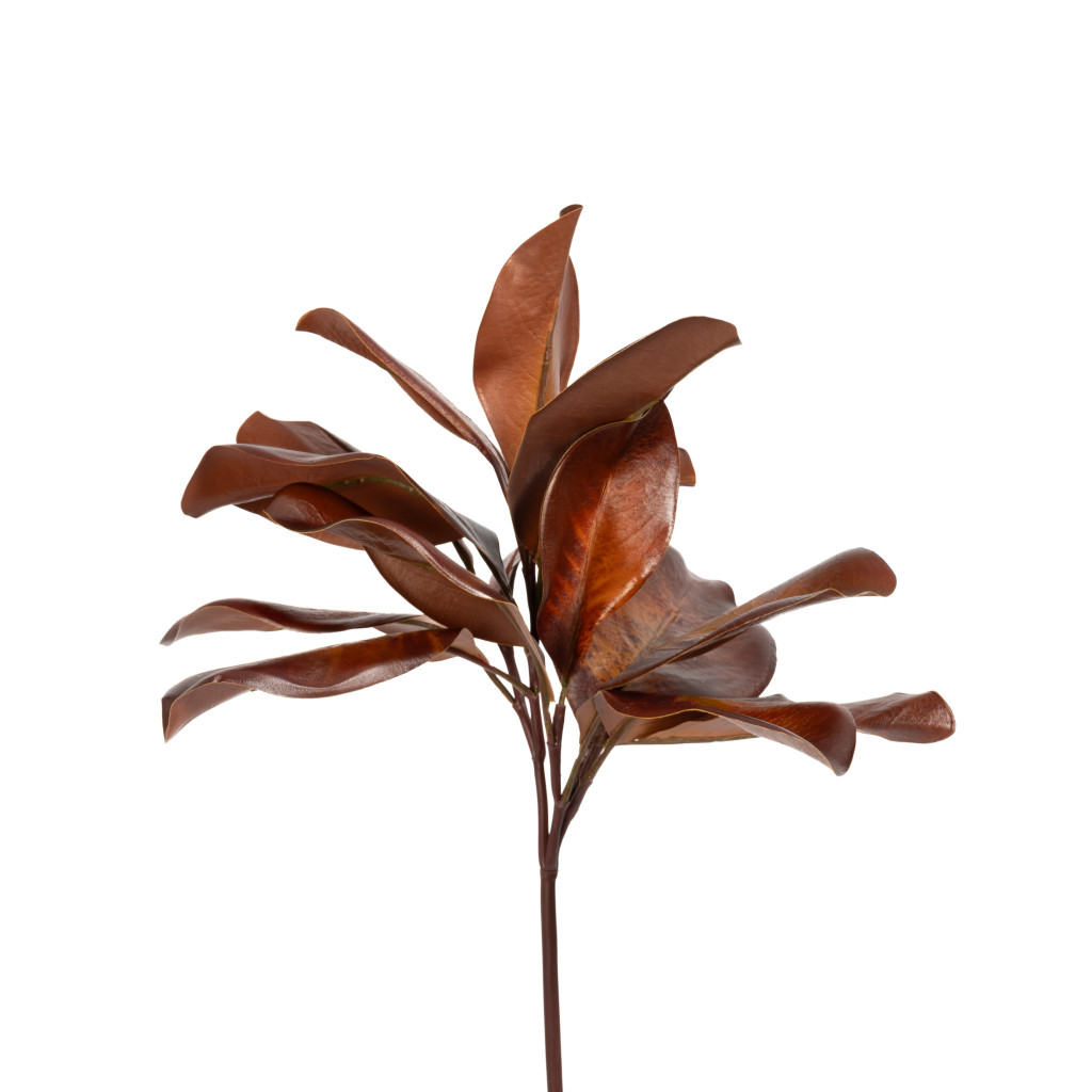 Magnolia Leaf Spray Bourbon 16 Inch
