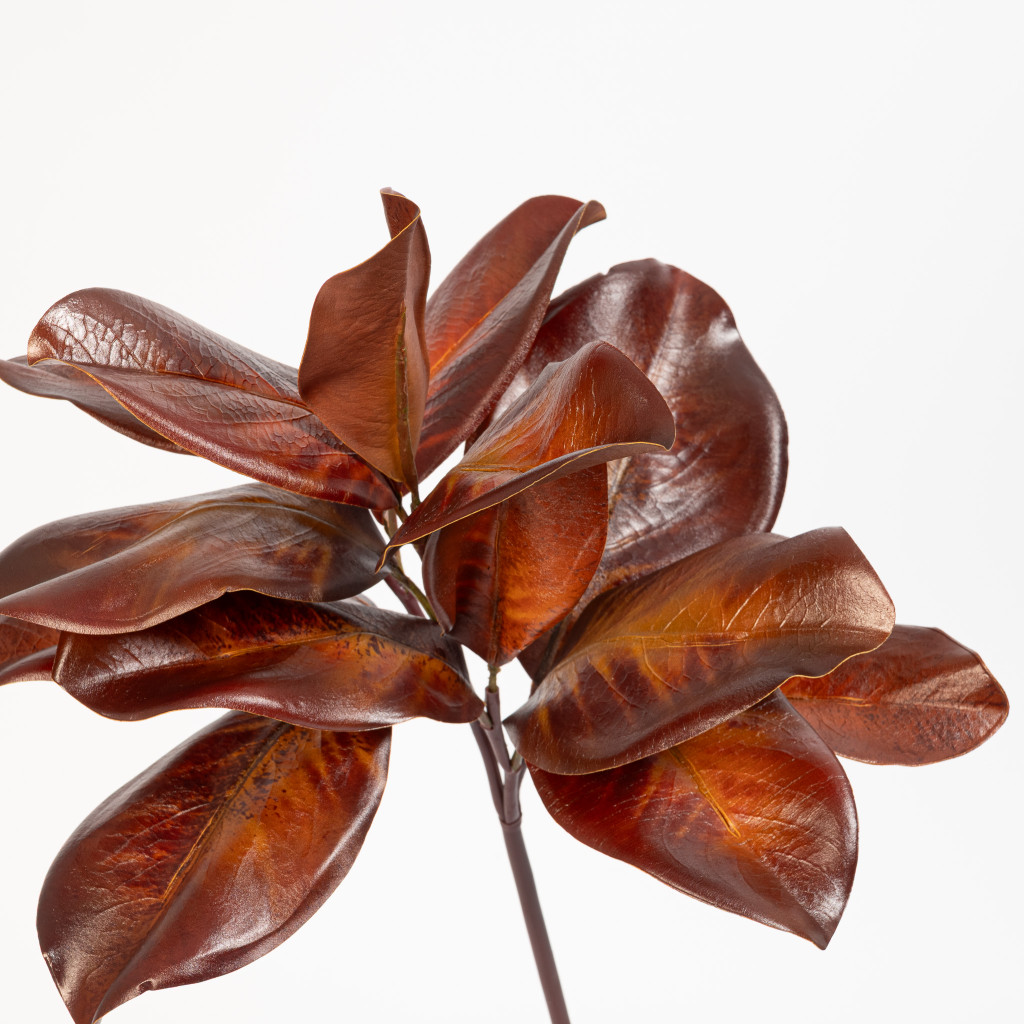 Magnolia Leaf Spray Bourbon 16 Inch