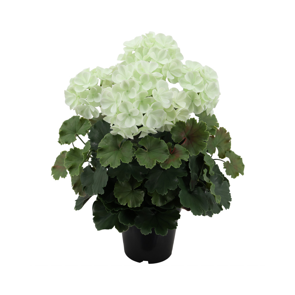 Geranium UV Plant 15.75 Inch White
