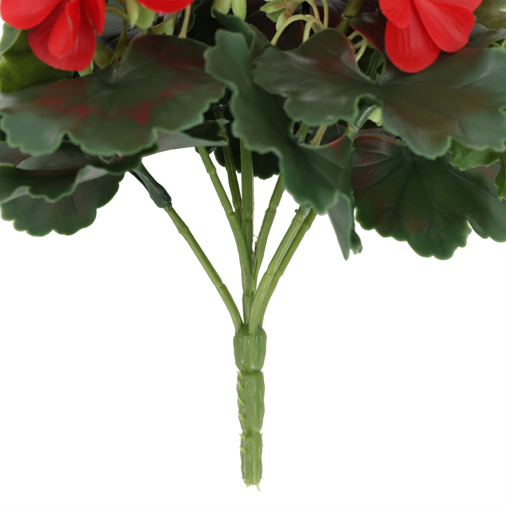 Geranium UV Bush 9 Inch Red