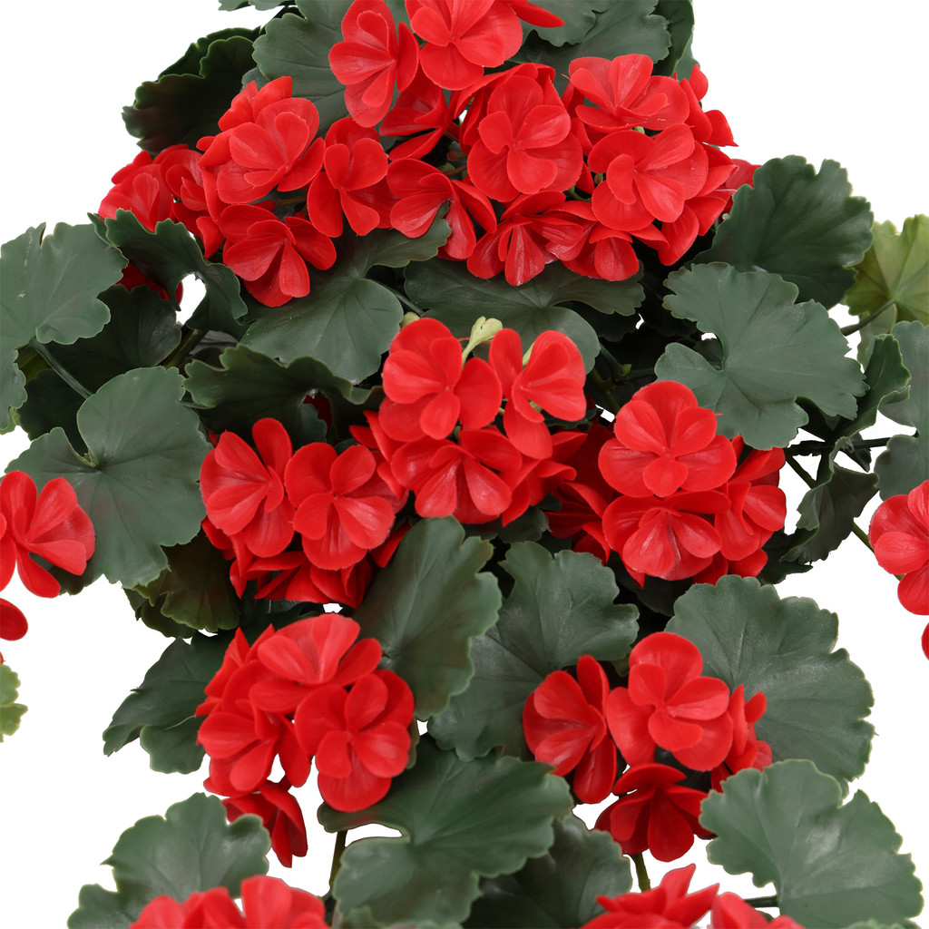 Geranium Hanging UV Plant 30 Inch Red