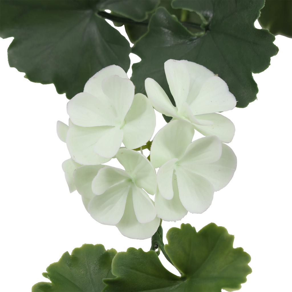 Geranium Hanging UV Plant 30 Inch White