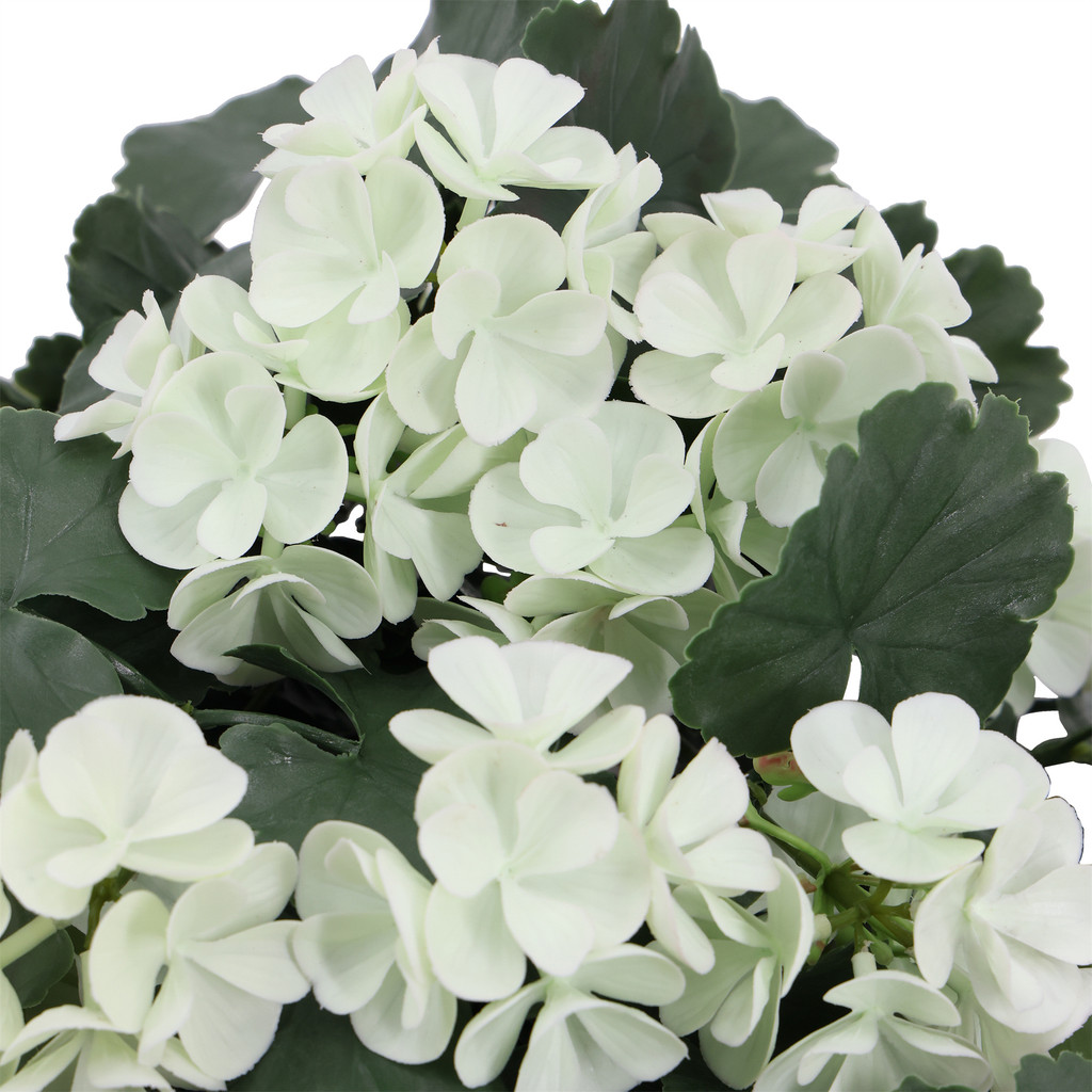 Geranium Hanging UV Plant 30 Inch White