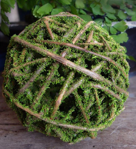 CURLY WILLOW BALL - MOSS COATED - 4" BALL - 9 BALLS/CS
