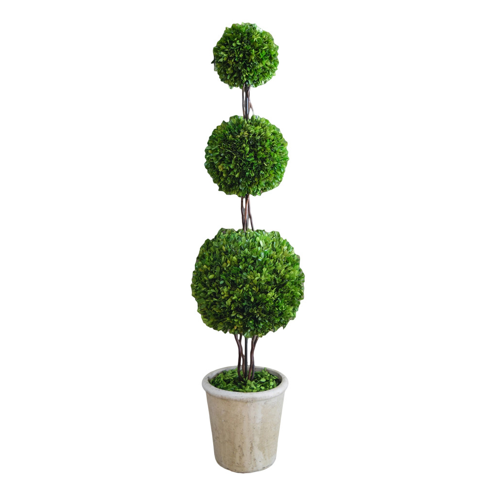 PRESERVED BOXWOOD TOPIARY - TRIPLE BALL - 59 INCH