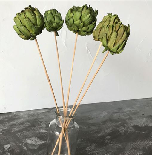 CHICO COKE GRASS GREEN STEM - 5 PCS PACKED 12