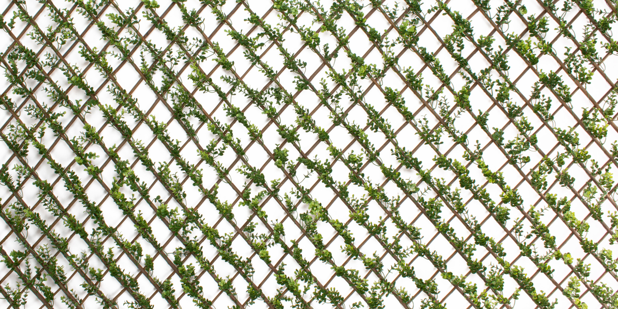 Faux Boxwood Willow Lattice Screen | Mills Floral Company