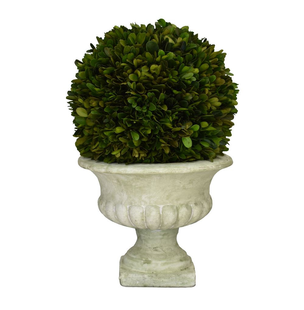 Boxwood Ball In Footed Urn Mills Floral Company