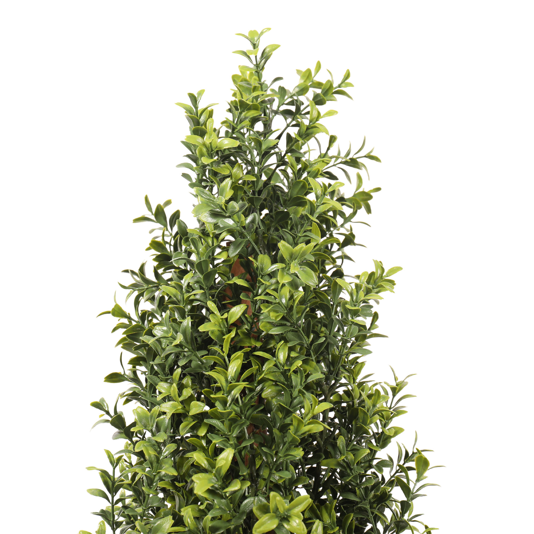 UV BOXWOOD SHRUB 48 INCH TOPIARY - Mills Floral Company