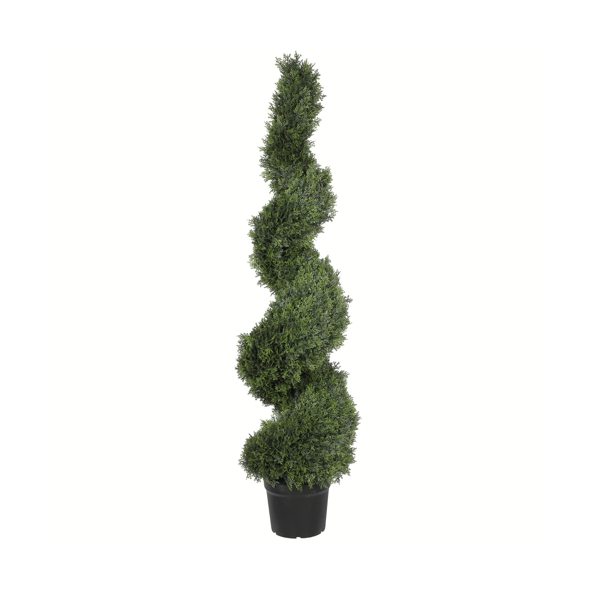 UV CYPRESS SPIRAL 60 INCH TOPIARY - Mills Floral Company