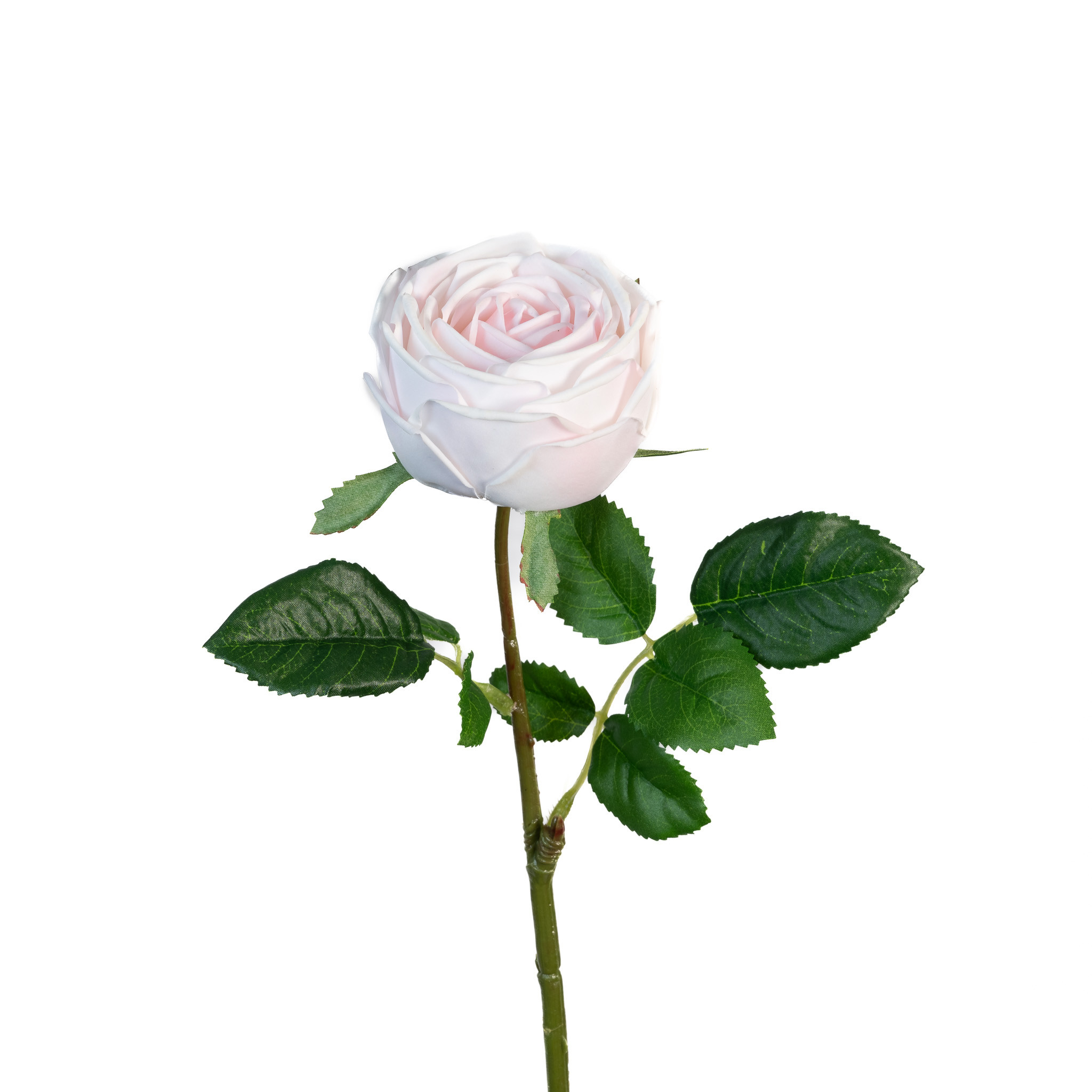REAL TOUCH GARDEN ROSE - SOFT PINK 17 INCH - Mills Floral Company