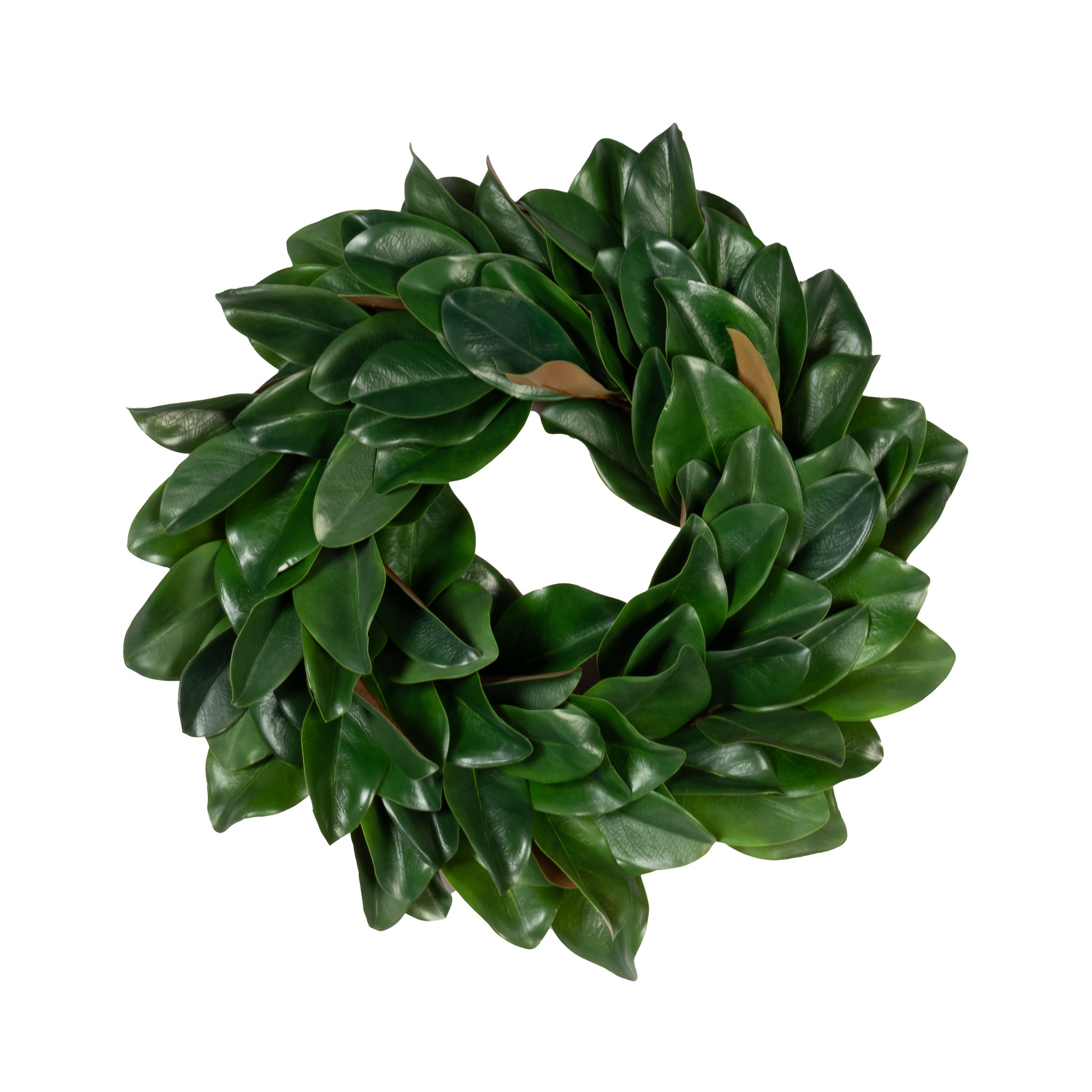 MAGNOLIA LEAF WREATH - 23 INCH - Mills Floral Company