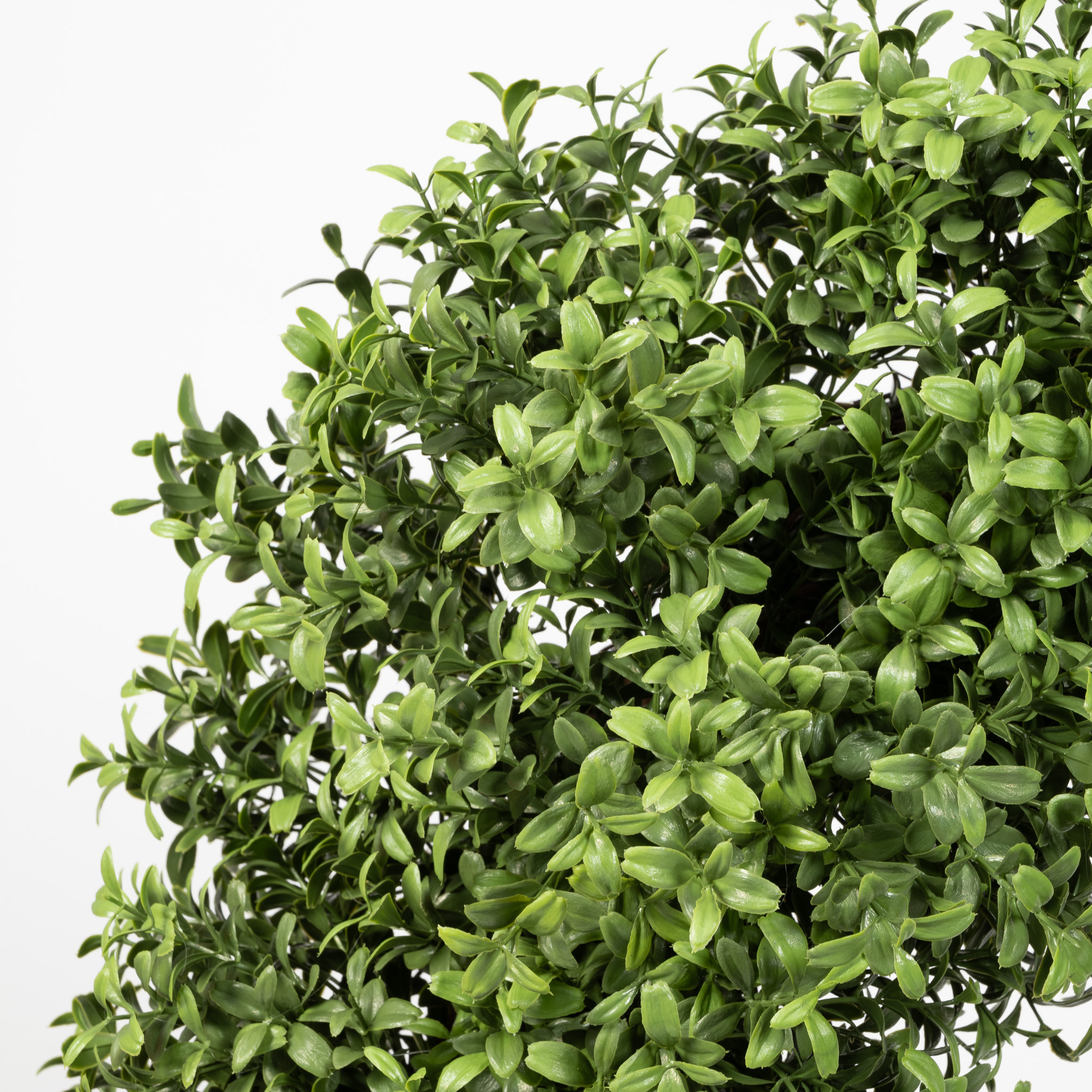 bushdebrunt REALIST type A オリーブカラー OUTDOOR UV BOXWOOD WREATH - 22 INCH - Mills Floral Company