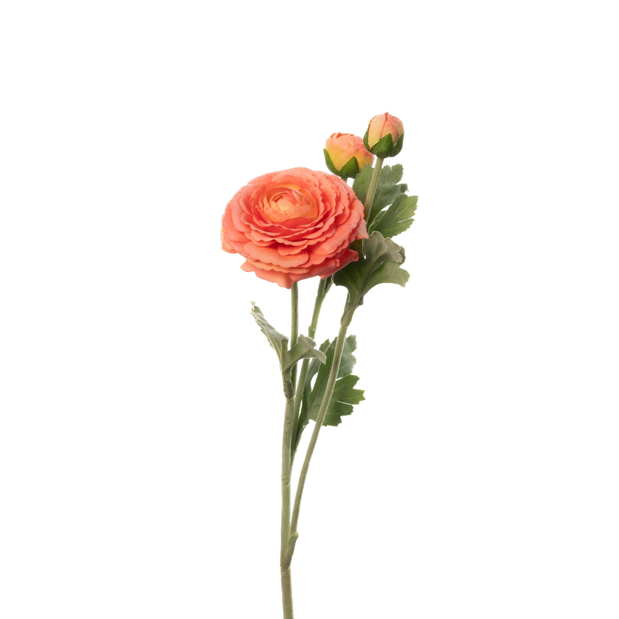 REAL TOUCH RANUNCULUS - SUNSET - 19 INCH - Mills Floral Company