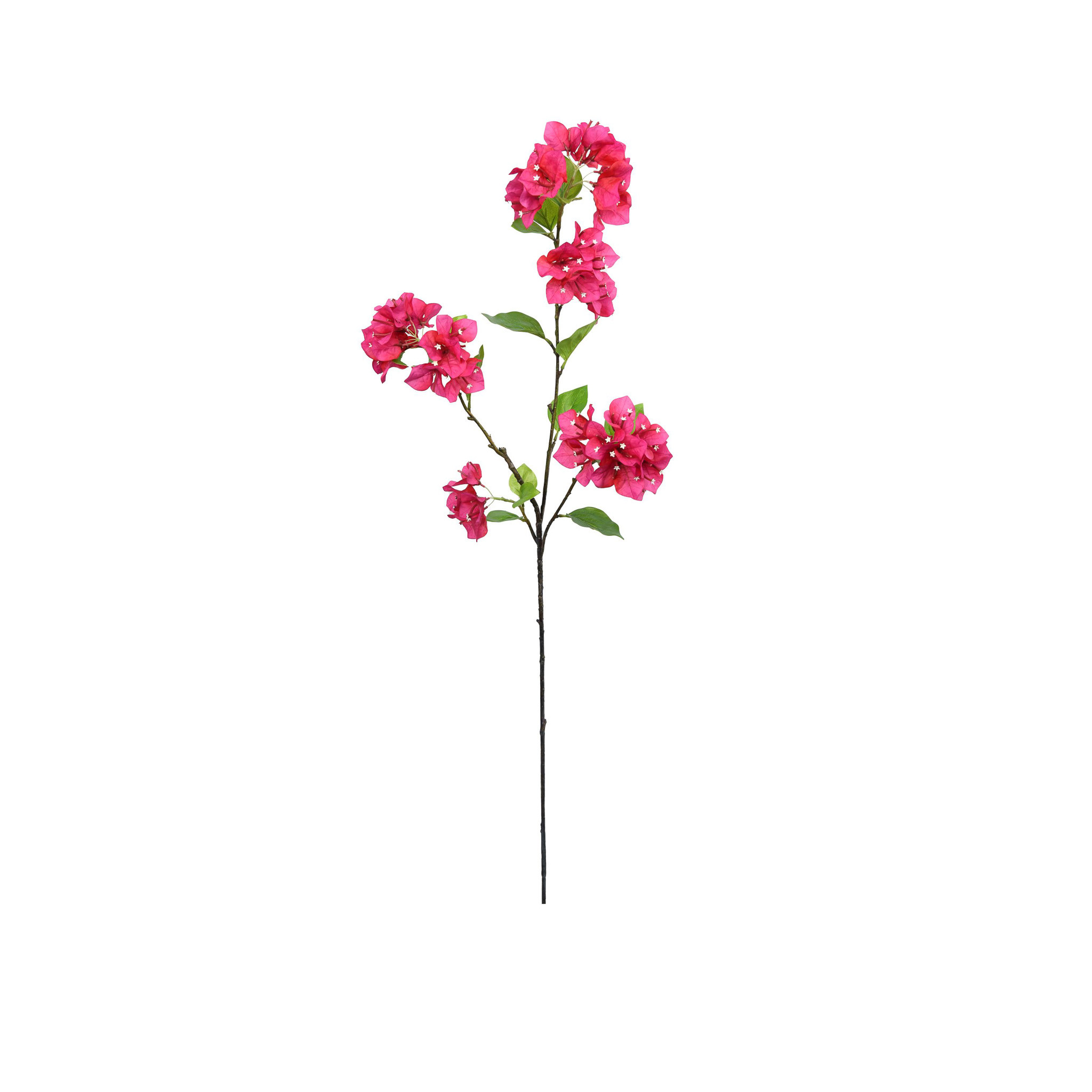 BOUGAINVILLEA SPRAY - FUCHSIA - 38 INCH - Mills Floral Company