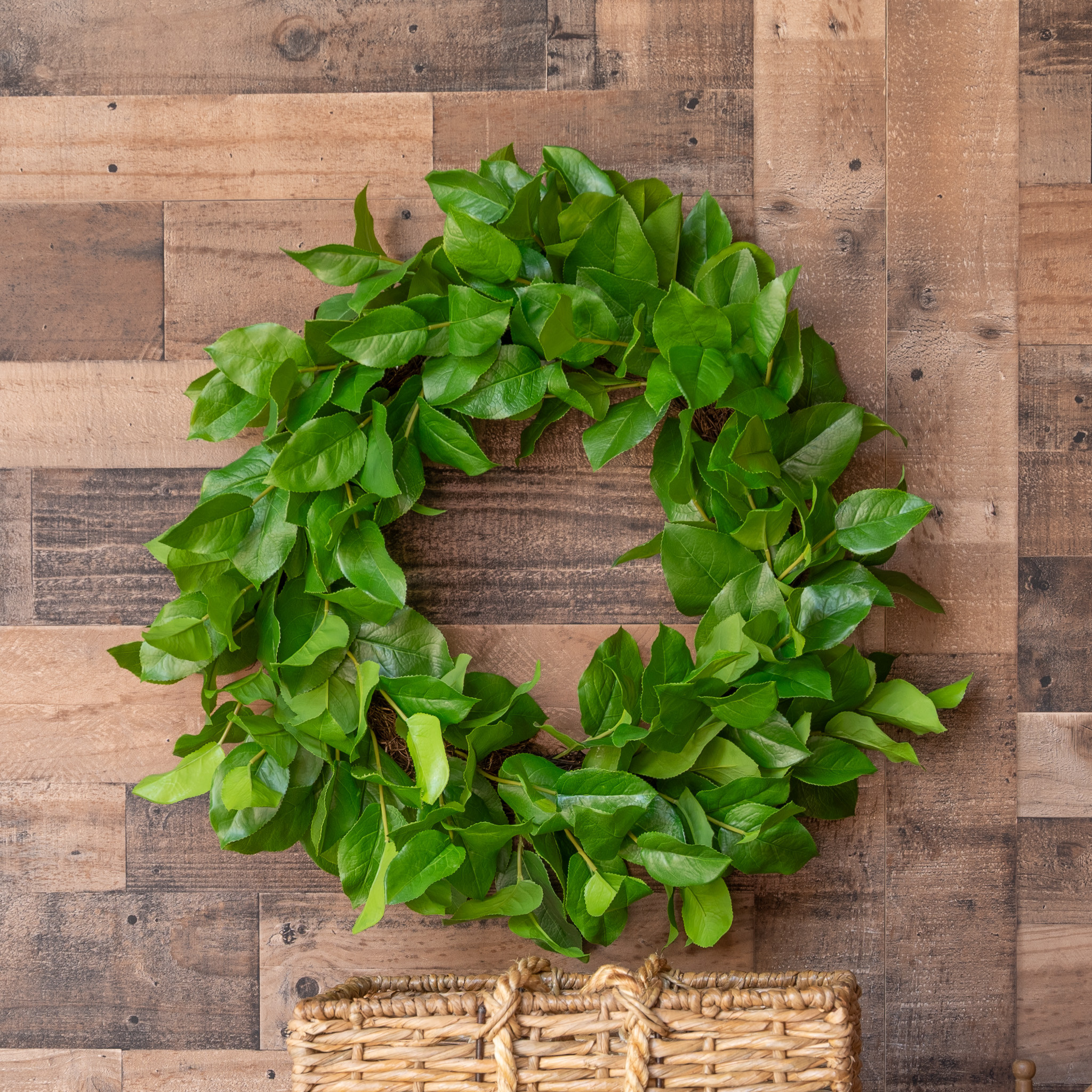 SALAL LEAF WREATH - 28 INCH - Mills Floral Company