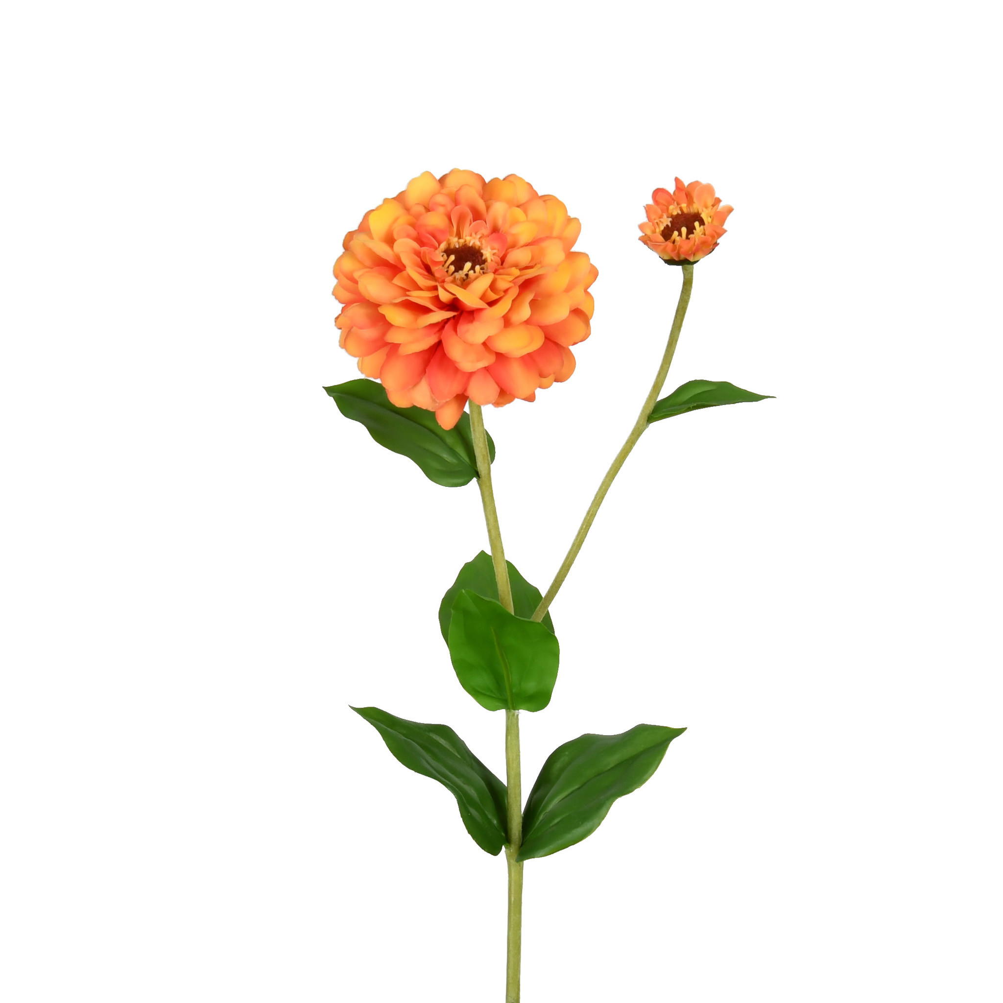ZINNIA FLOWER AND BLOOM - 26 INCH - ORANGE - Mills Floral Company