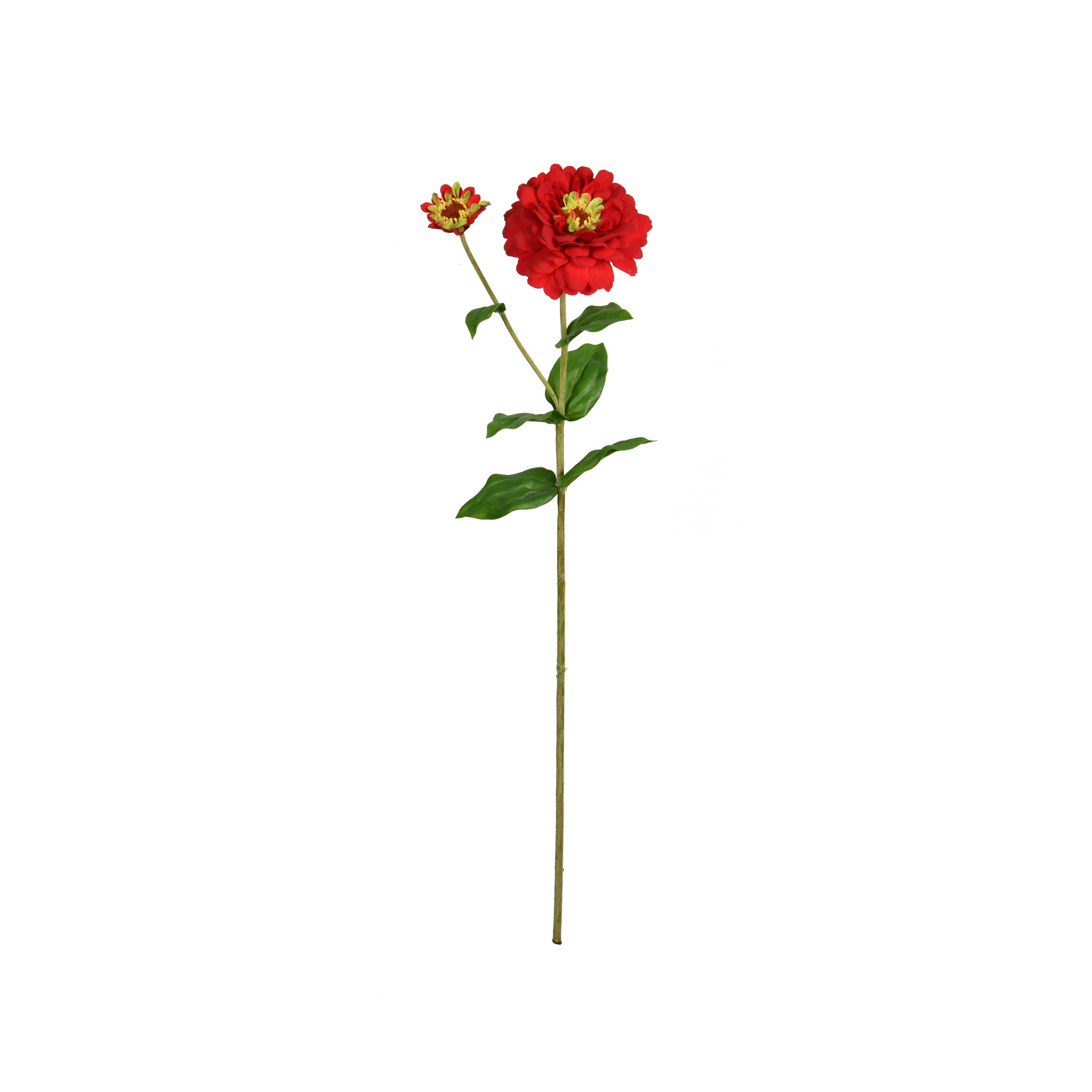 ZINNIA FLOWER AND BLOOM - 26 INCH - RED - Mills Floral Company