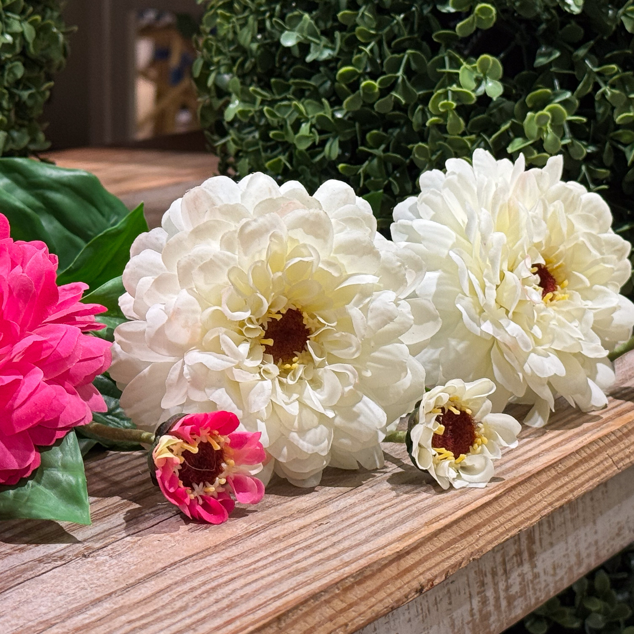 ZINNIA FLOWER AND BLOOM - 26 INCH - WHITE - Mills Floral Company