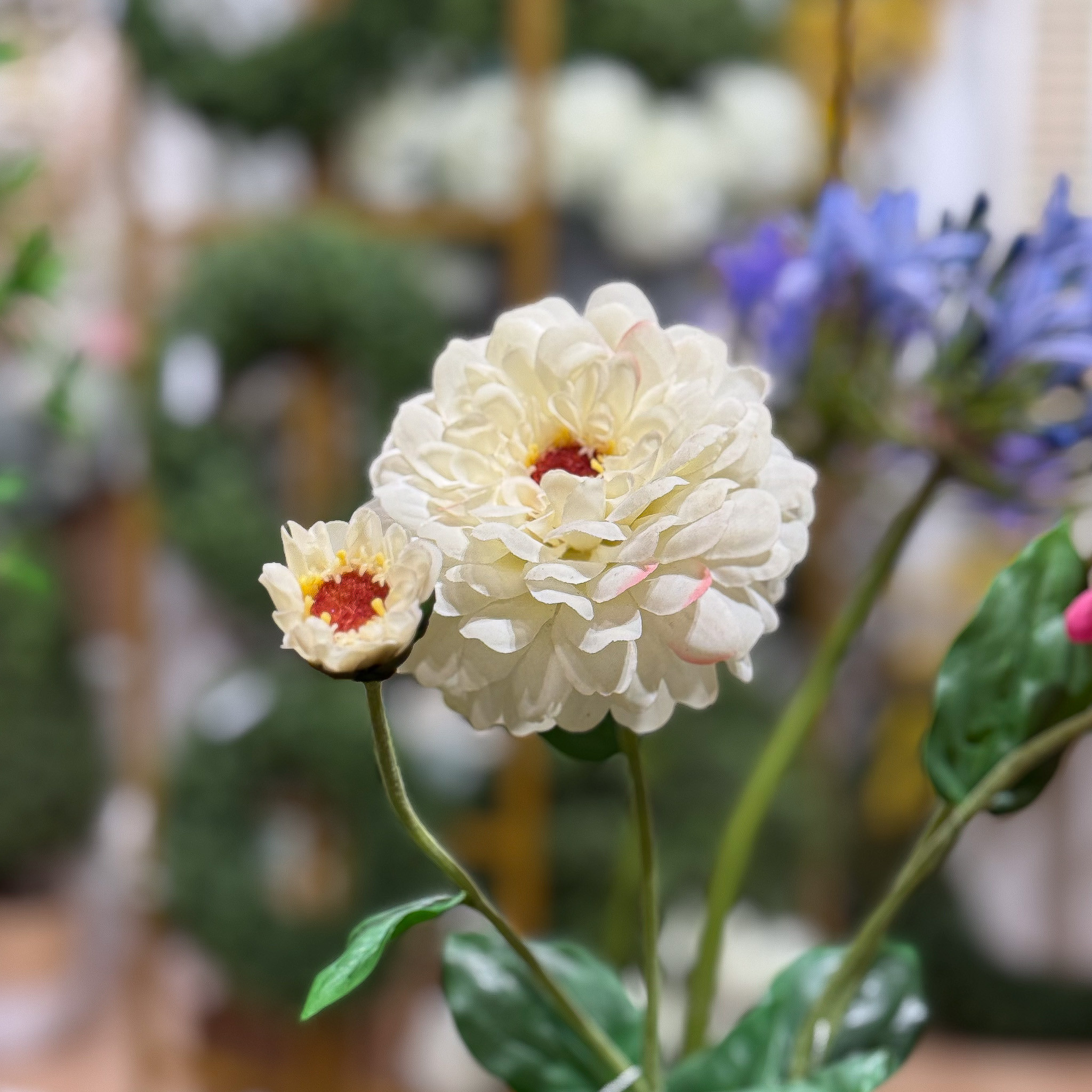ZINNIA FLOWER AND BLOOM - 26 INCH - WHITE - Mills Floral Company