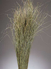 MEADOW GRASS - NATURAL - 20 BUNCHES