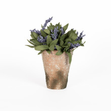 POTTED LAVENDER BLOOM - PURPLE